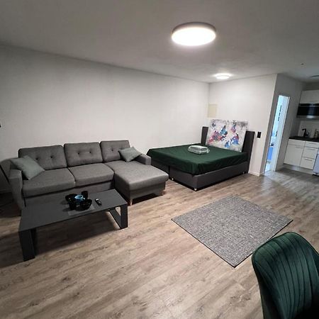 Business Apartment Karlsruhe Bagian luar foto