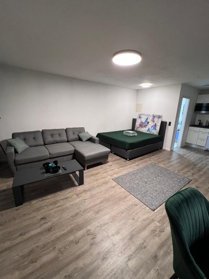 Business Apartment Karlsruhe Bagian luar foto